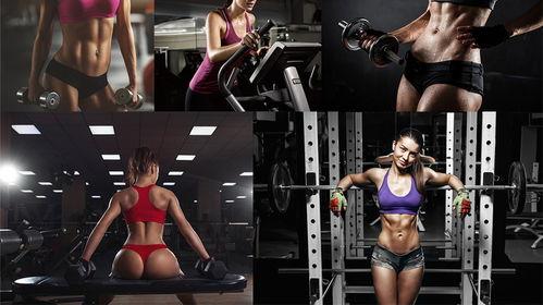 大神约健身美女在线视频,跟随女神一起塑造完美身材