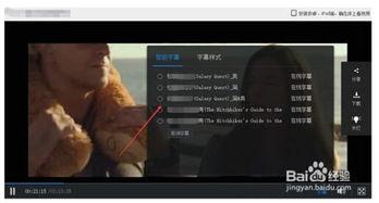 在线视频中字幕,揭秘在线视频字幕背后的制作奥秘