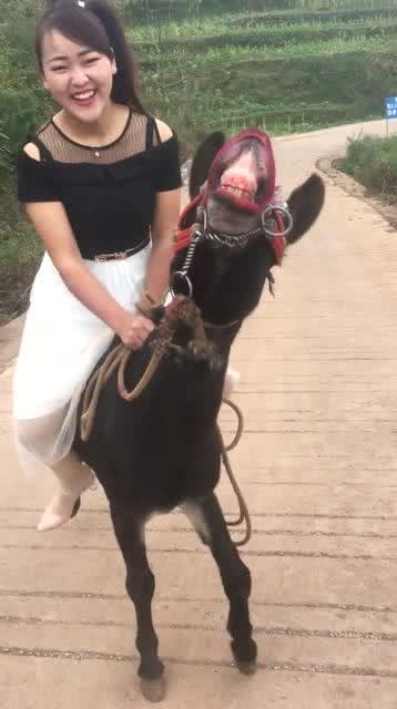 毛驴操美女在线视频