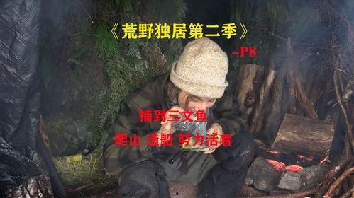 荒野独居在线视频,揭秘生存挑战与心灵探索之旅
