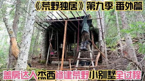 荒野独居在线视频,揭秘生存挑战与心灵探索之旅