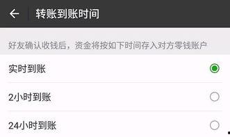 在线视频聊天延迟,背后的技术挑战与优化策略