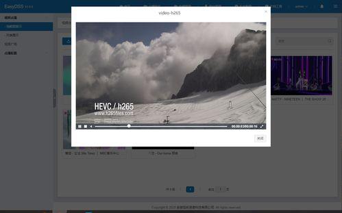 在线视频演示,探索XX技术的创新应用