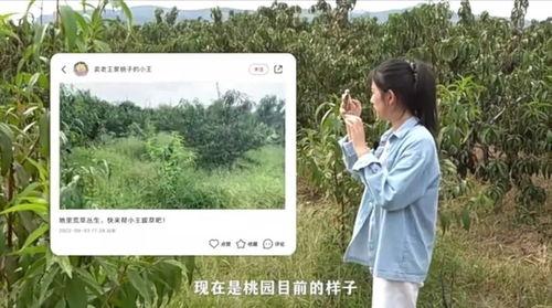 小王摄影在线视频