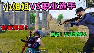 猜猜碰在线视频  第2张