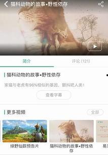 学生小说在线视频  第2张