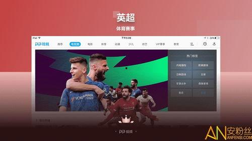 wwsp2在线视频,WWSP2在线视频深度解析