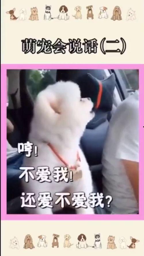 在线视频你懂的三级,深度解析其内涵与影响 第3张 在线视频你懂的三级,深度解析其内涵与影响 第3张